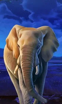 African Elephant